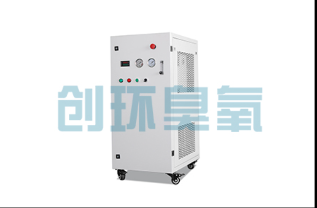 大渡口工厂化养鲈必看：2026年臭氧发生器替代传统消毒的最新方案