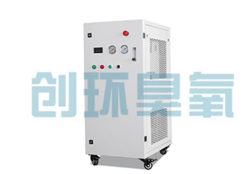大渡口石斑鱼养殖水质调控完整指南：臭氧发生器配置与操作步骤