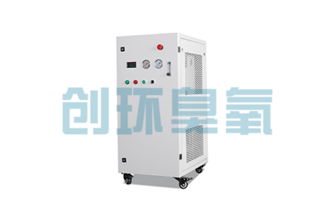 大渡口比传统换水更高效？臭氧发生器在石斑鱼养殖中的水质净化原理解析